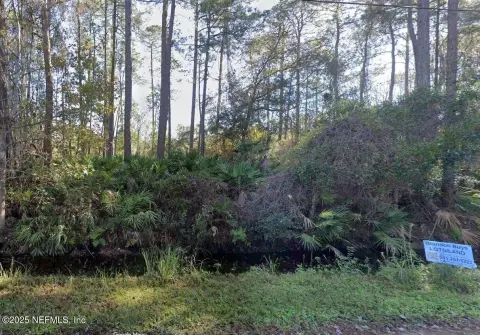 Vacant Wooded Lot in Palatka
