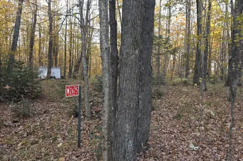 Wooded Hunting Land