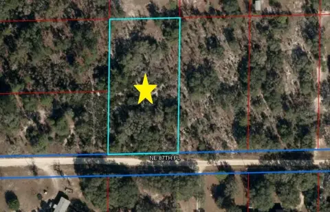 1.25 Acre Lot in Bronson