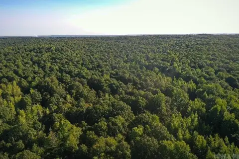 Hardwood Timberland on Crowley's Ridge