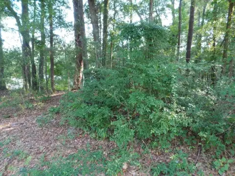 Residential Land in Ozark, AL