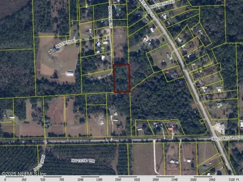 Wooded Lot in Starke, Florida