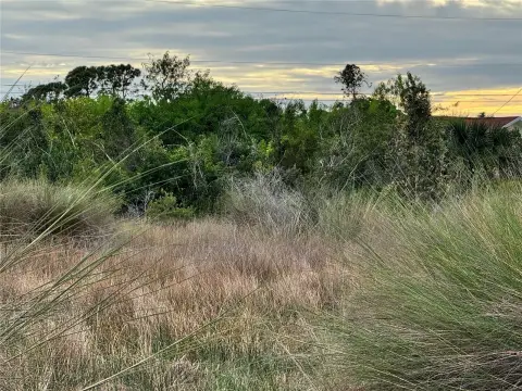 Residential Homesite in Gulf Cove