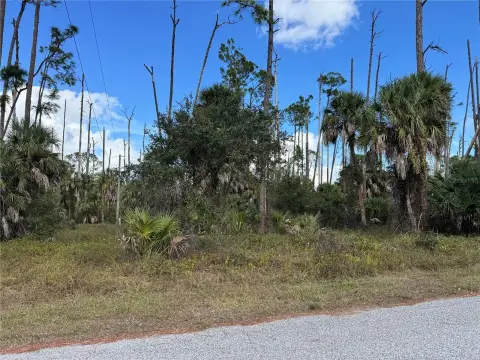 Port Charlotte Land Opportunity
