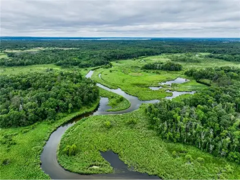 Wooded Lot on Gull River