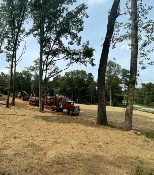 Gainesville Cleared Estate Lot