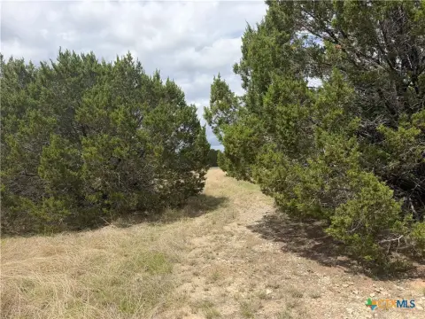 Texas Land with Development Potential