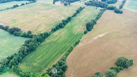 24 Acres of Farmland