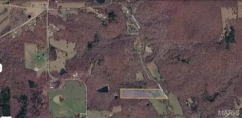 Wooded Hunting Land Tract