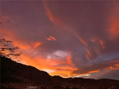 Wonder Valley Large Lot