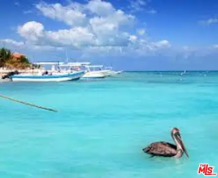 Beachfront Development Opportunity in Mexico