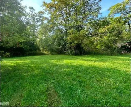 Vacant Residential Land in Flint
