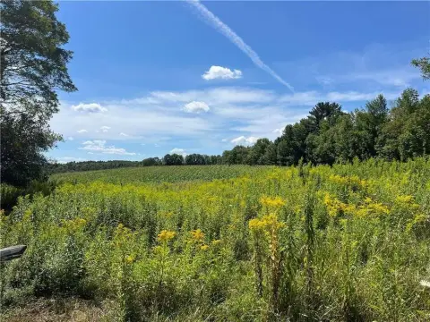Rural Acreage With Road Frontage