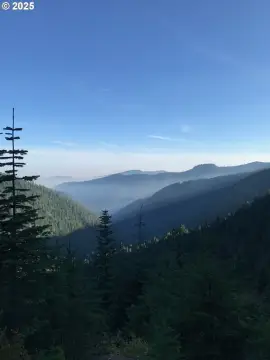 Secluded Timber and Recreational Land