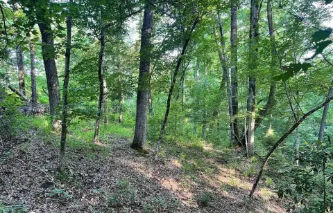 Land Parcel Near Legacy Shores