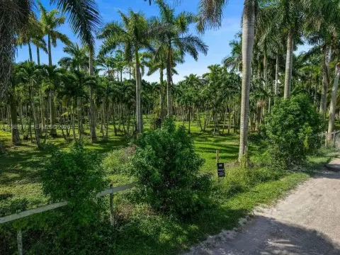 Lush Land Parcel in Miami