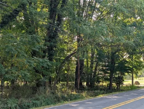 Akron, OH Wooded Lot