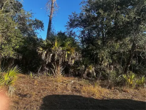 North Port Buildable Lot
