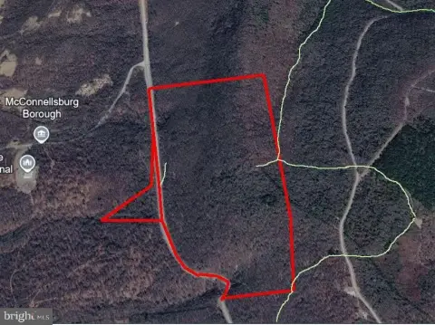 Unrestricted Fully Wooded Hunting Land
