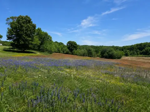 Rolling Hill Homesite Land