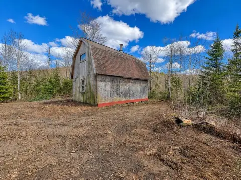 Wooded Campground Land with Primitive Cabin