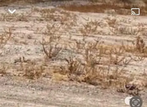 Pahrump Land: Commercial/Residential Zoning