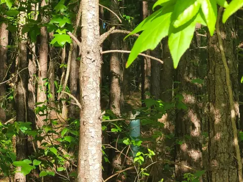 Lithonia Vacant Land Near Atlanta