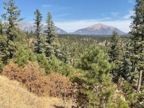 Mountain Recreation Land