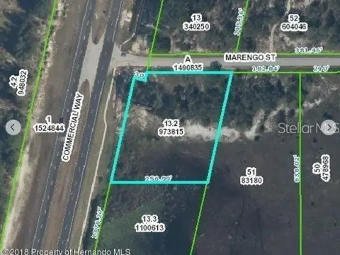 Weeki Wachee Investment Land