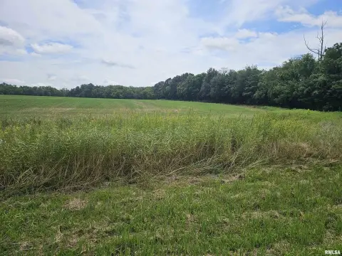 12 Acres of Farmland