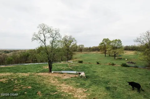 79 Acres of Farmland Opportunity