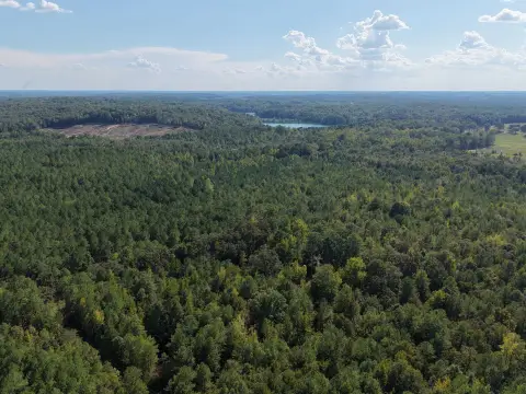 Timbered Hunting Land with Pond