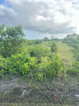 Okeechobee Residential Land For Sale