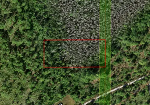 Holopaw Acreage in St. Cloud