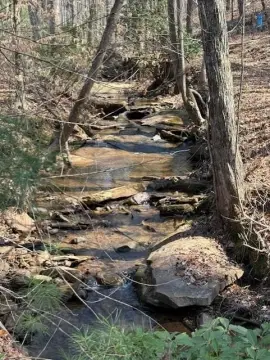 Land with Mountain Views