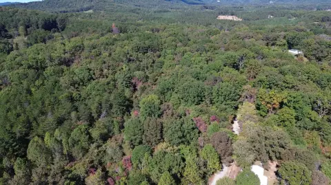 Land Near Blue Ridge Activities
