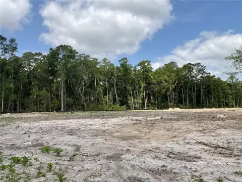 Wooded Land in Gainesville, Florida