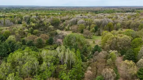 Recreational Hunting Land with Trails