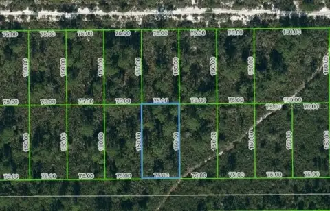 Land in Lake Placid, FL