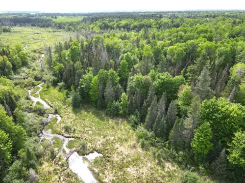 Hunting Land with Trout Stream