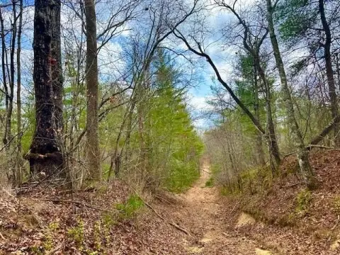 Wooded Recreational Land