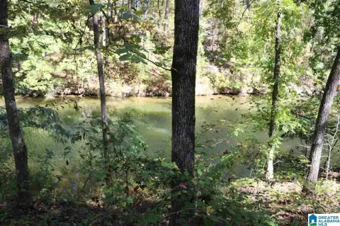 Lakefront Lot in Vincent, AL