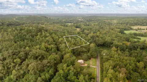 Fayette, AL Land Opportunity