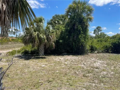 Lehigh Acres Quarter Acre Parcel