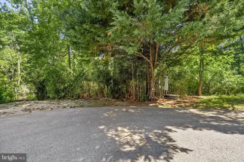 Wooded Cul-de-Sac Homesite