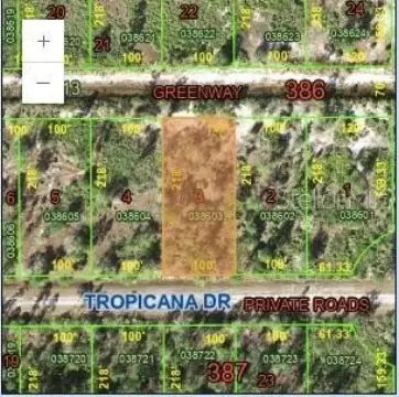 Half Acre Land in Florida