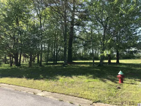 Residential Land in Mayfield, KY