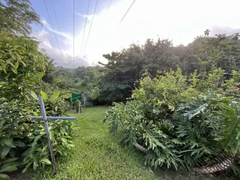 Land in Ciales, Puerto Rico