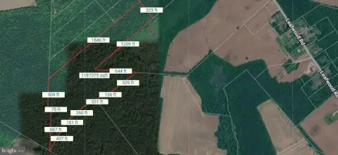 Wooded Land in Suffolk City