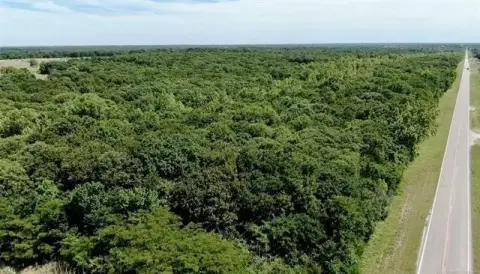 Wooded Corner Acreage